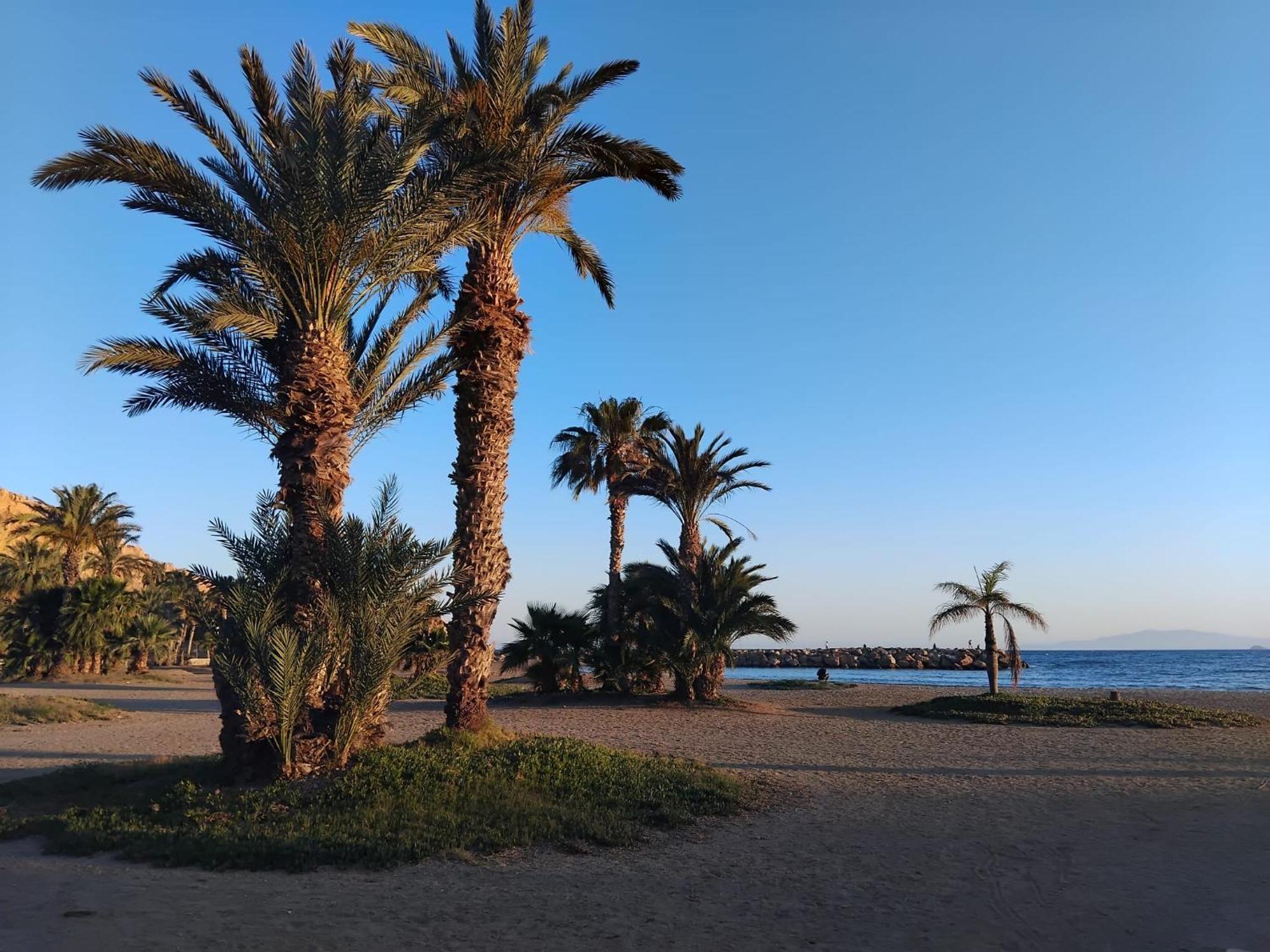 Casa El Olivo Holiday home