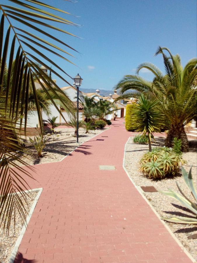 Holiday home Casa El Olivo *