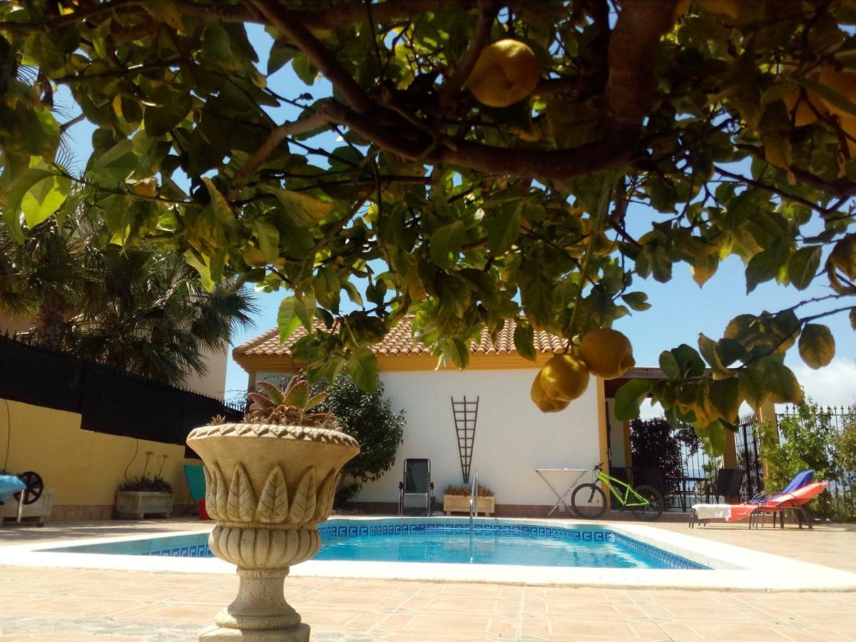 Casa El Olivo * Mazarron